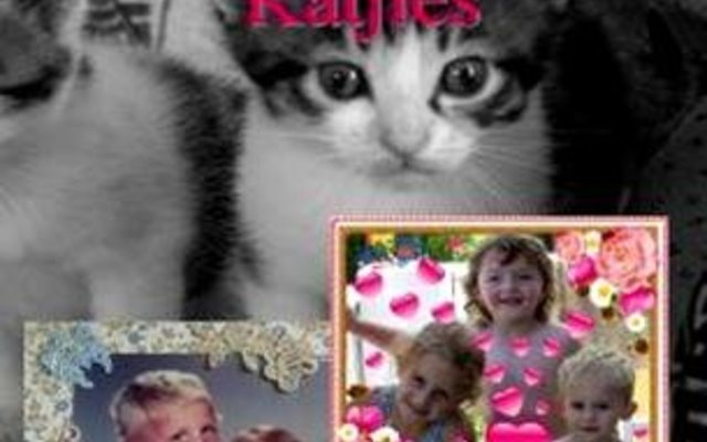 Gansbaai Nie net 1 nie Sommer 4 Carine Badenhorst Boeke